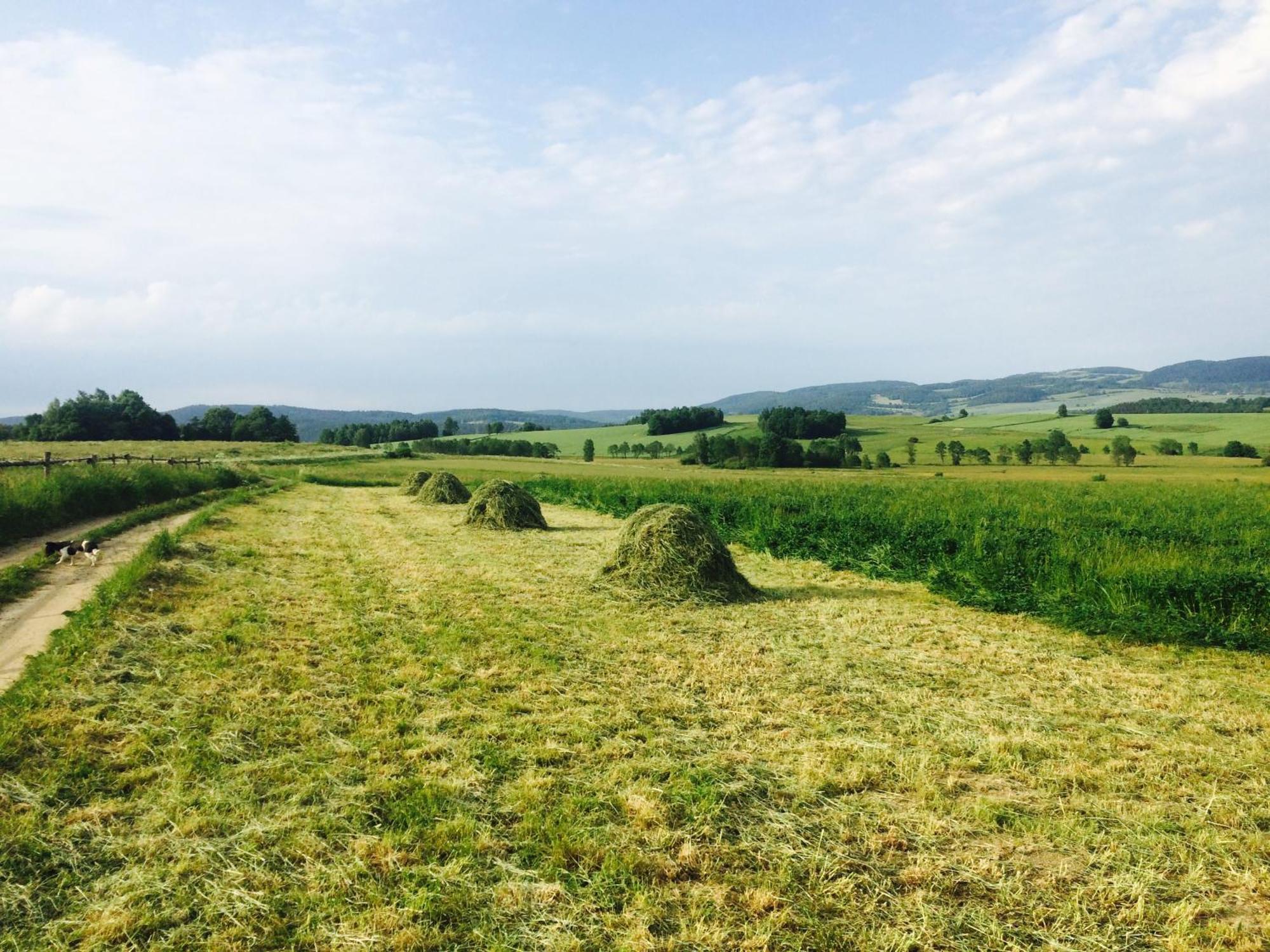 Siedlisko Wierchy Wiesciszowice 外观 照片